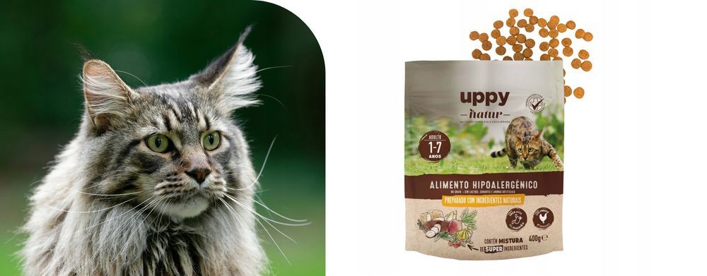 Uppy Nature Karma Bezzbożowa Z Kurczakiem Dla Kota 400G