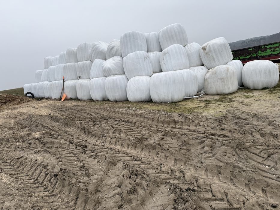 Sprzedam  sianokiszonke