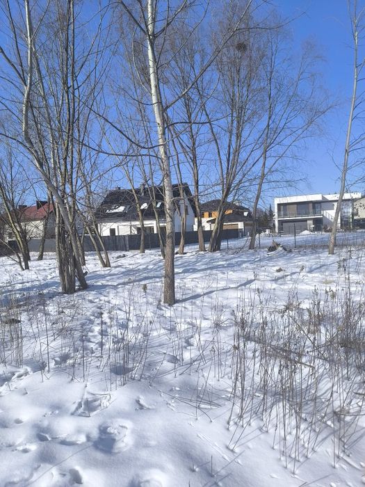 Oddam za darmo drewno