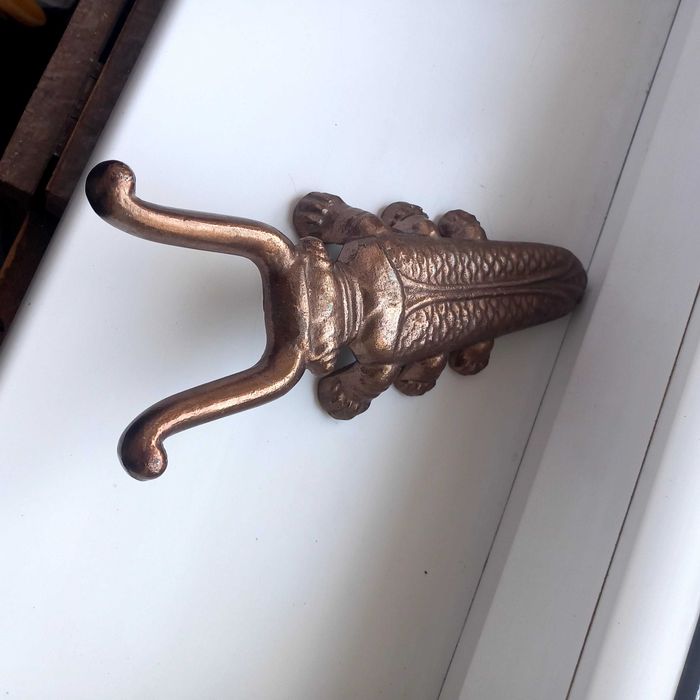 Skarabeusz  do.  obuwia