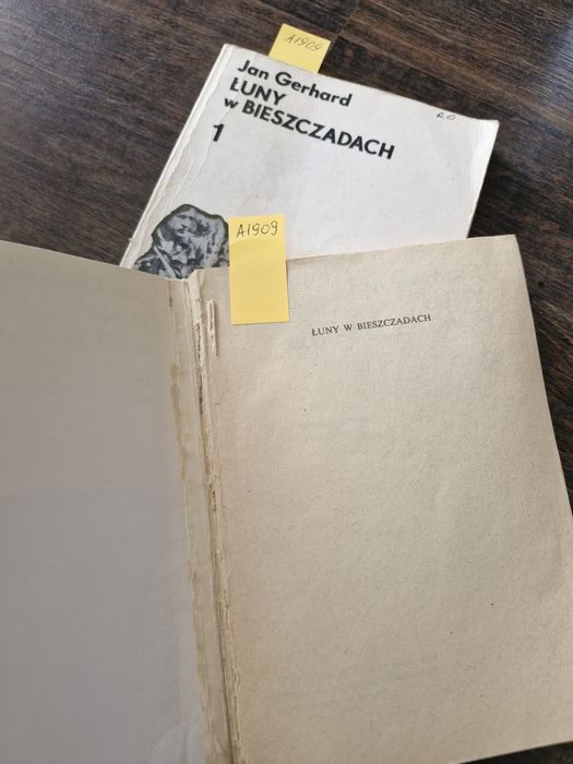 A1909. "Łuny w Bieszczadach " Jan Gerhard
