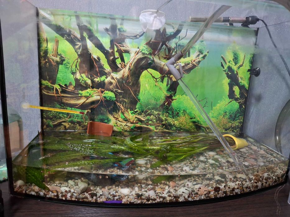 Продам акваріум.