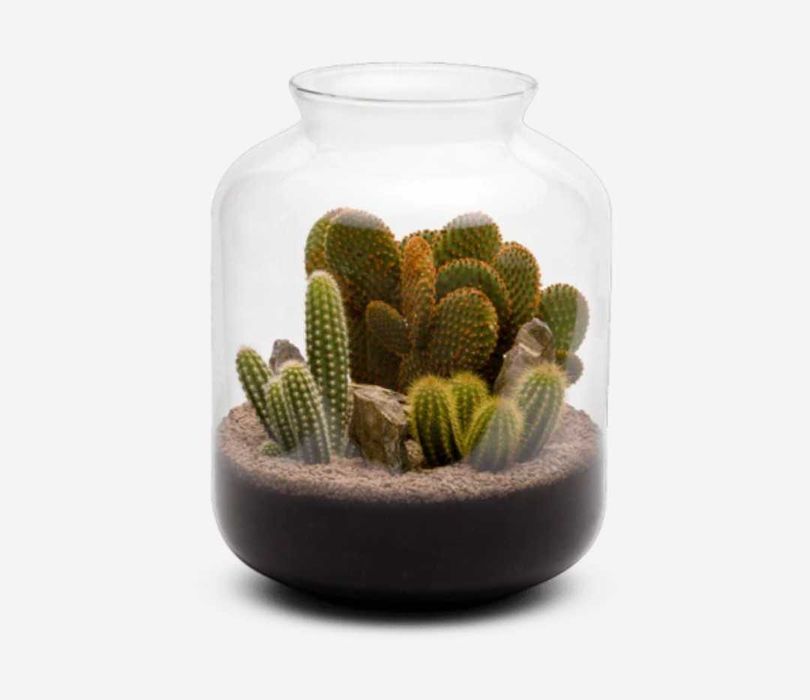 Conjunto de ferramentas para terrarium terrário marca ADA AQUA DESIGN AMANO (qualidade para profissionais)