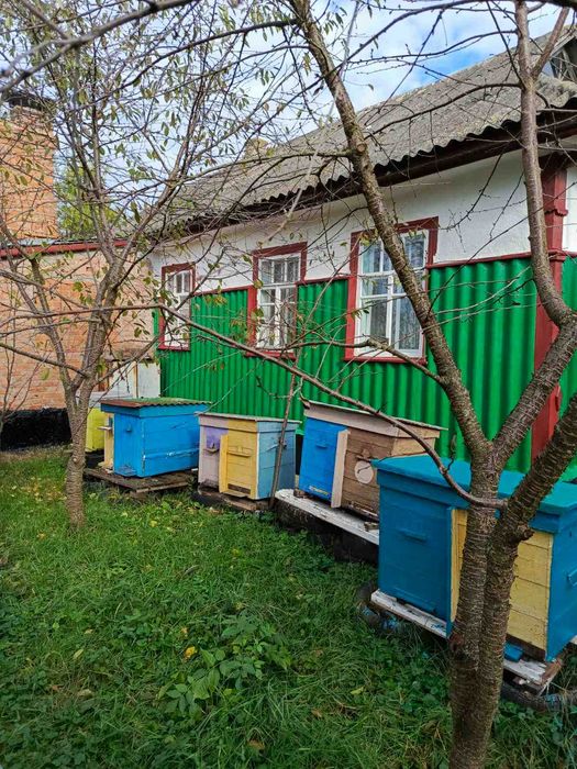 розпродаж пасіки