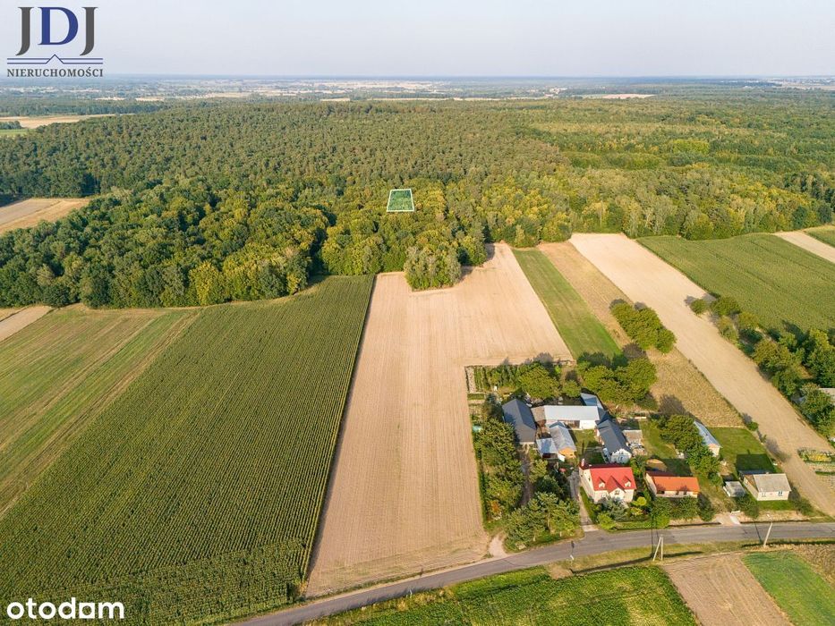 Działki O Łącznej Powierzchni  2,587 Ha - Bokinia
