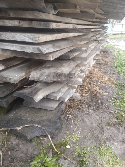 Дошка тополя суха