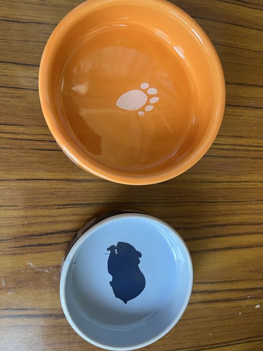 Годівниці для гризунів, птахів