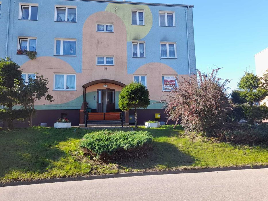 Kawalerka- wysoki parter