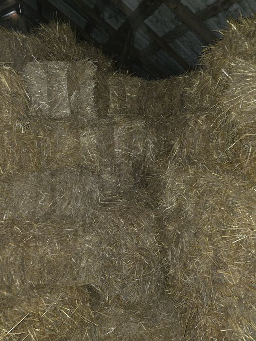 Słoma siano kostki w kostkach owsiana i z prosa