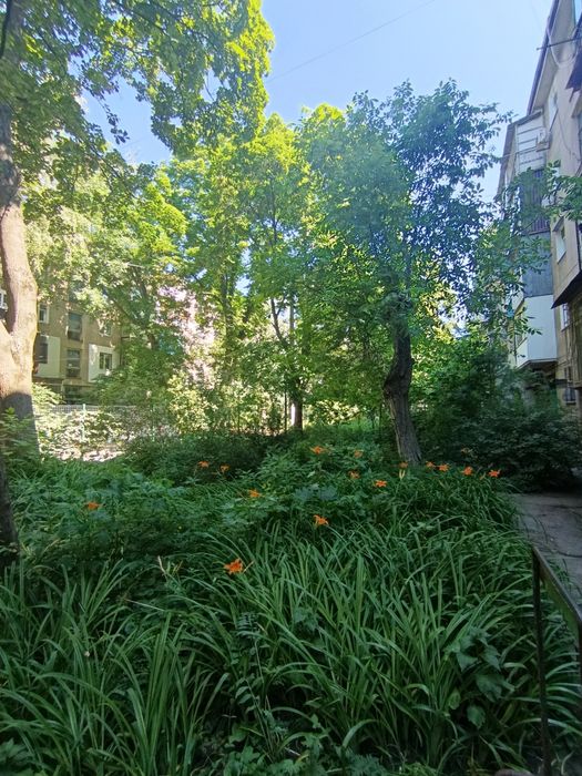Продам однокомнатную квартиру на Черемушках!
