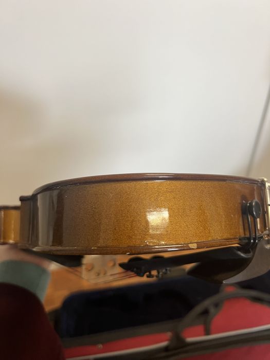 Viola d’arco (14 polegadas)