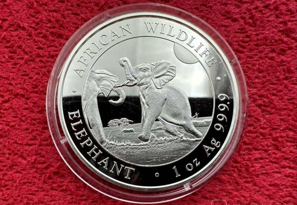 Інвестиційна срібна монета "Сомалійський слон". 1 унція 2024.