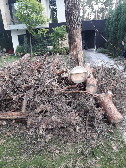 Видалення аварійних дерев Благоустрій Демонтаж. ПОКОС ТРАВИ