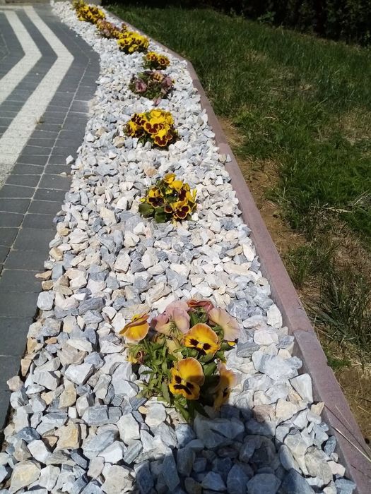 Grys Thassos grecki, kruszywa ozdobne, polskie i zagraniczne, grys,