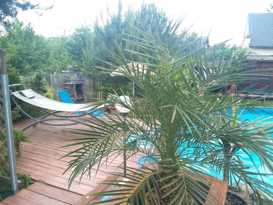 Agroturystyka "Sosnowy Gaj"