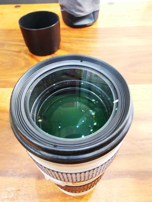 Canon EF 70–200mm f/4L USM Lens
