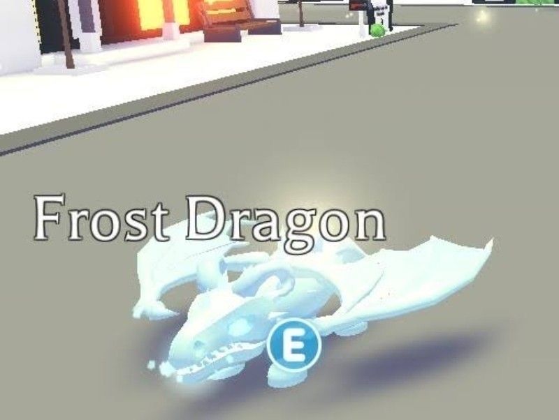 __Frost dragon__