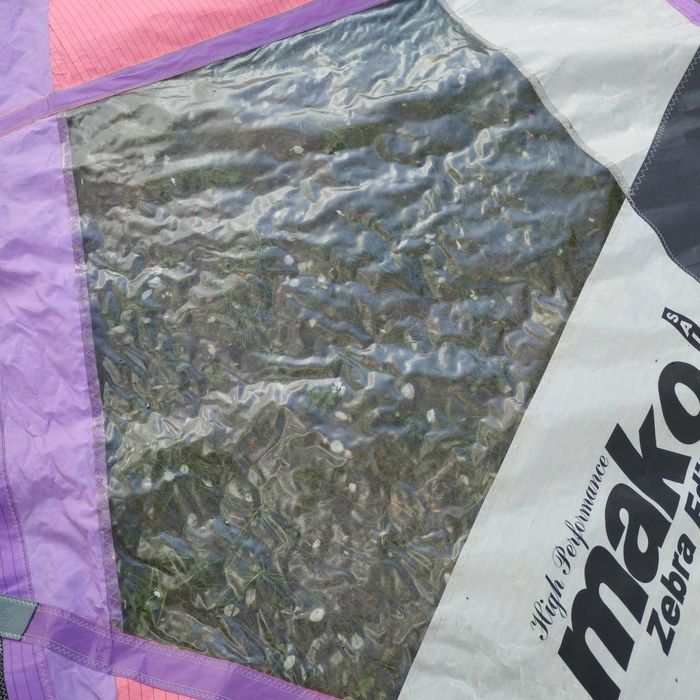 Żagiel windsurfing 4.8m2
