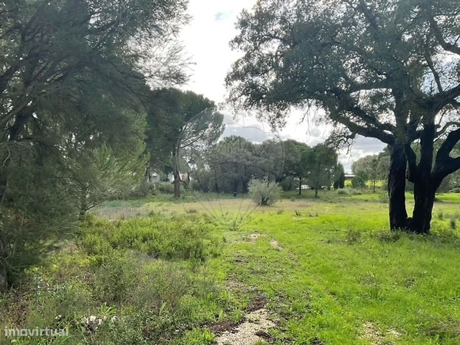 Terreno  para venda
