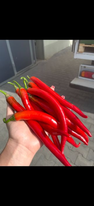 5 kg papryki cayenne