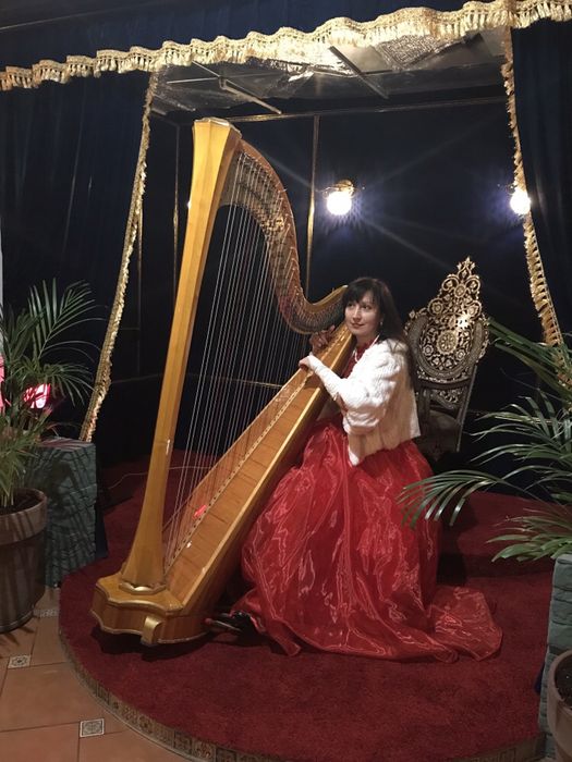 арфа. арфистка, Музыка на свадьбе.