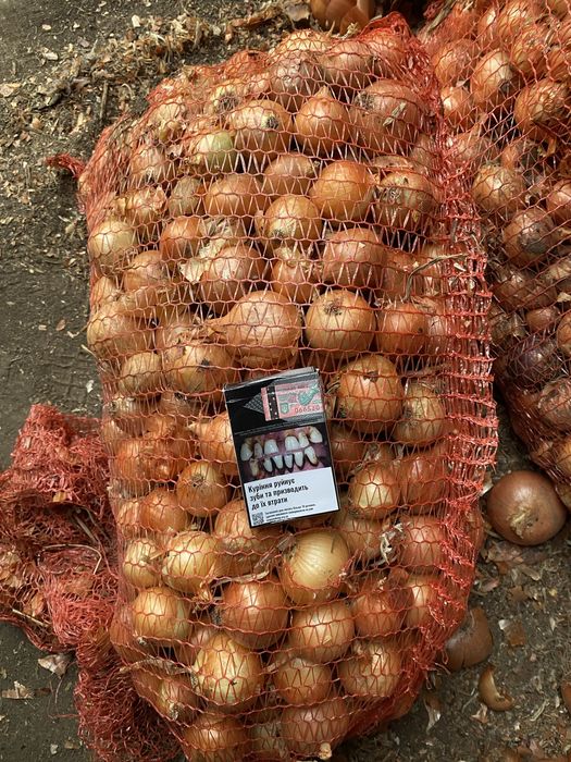 Цибуля середня капуста морква часник