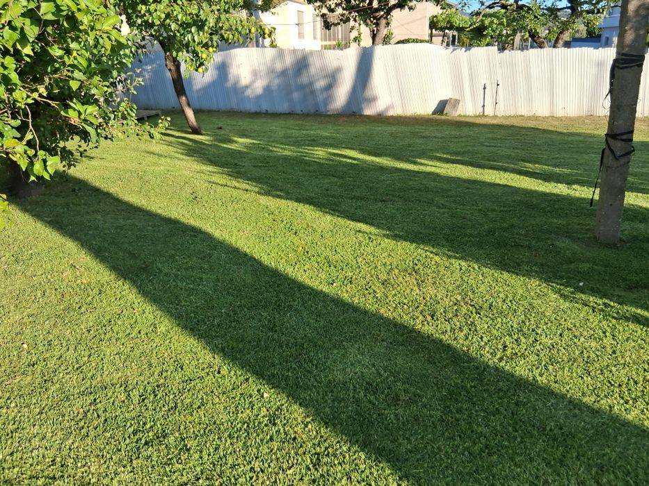 Jardineiro ao seu dispor