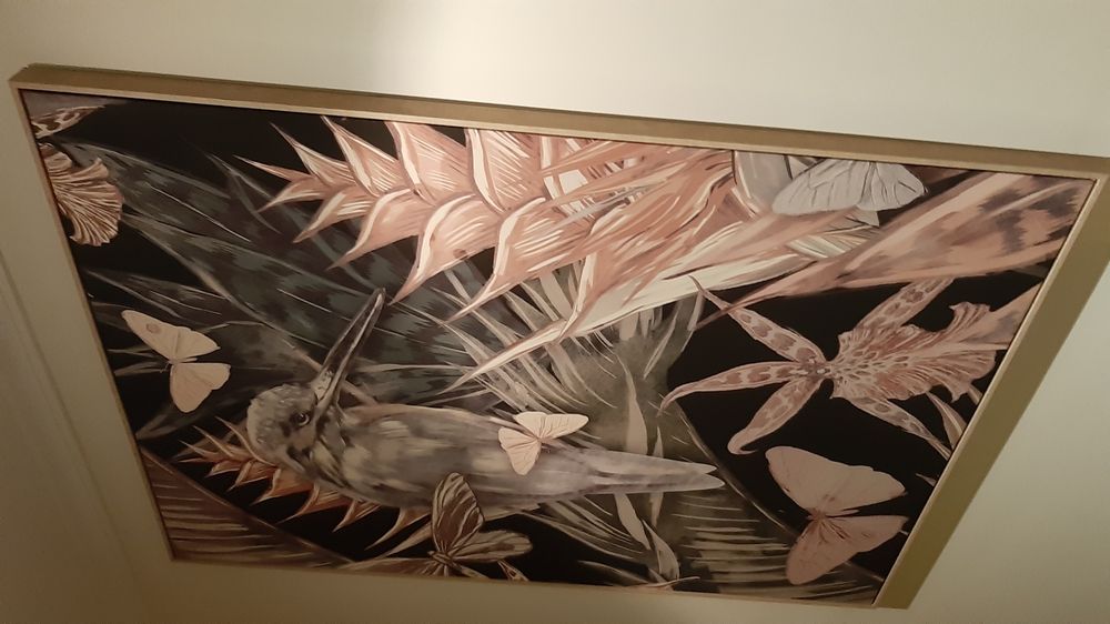 Quadro Amazônia com moldura