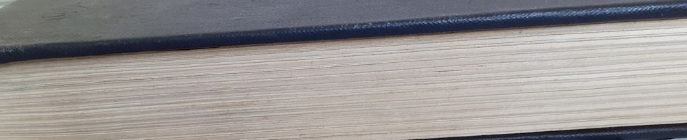 Собор Паризької Богоматері