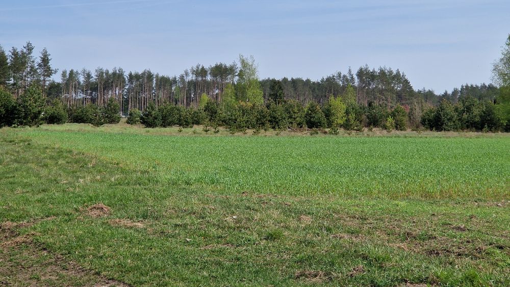 Działka budowalna okolice Wdzydz z MPZP. - Widok 5