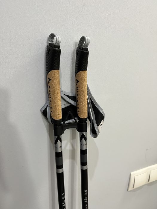 Бігові лижі Тіса беговые лыжи