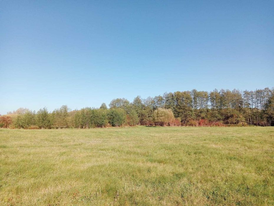 Sprzedam działkę rolną w m. Łąkie, gm. Skępe, 3.8766 ha