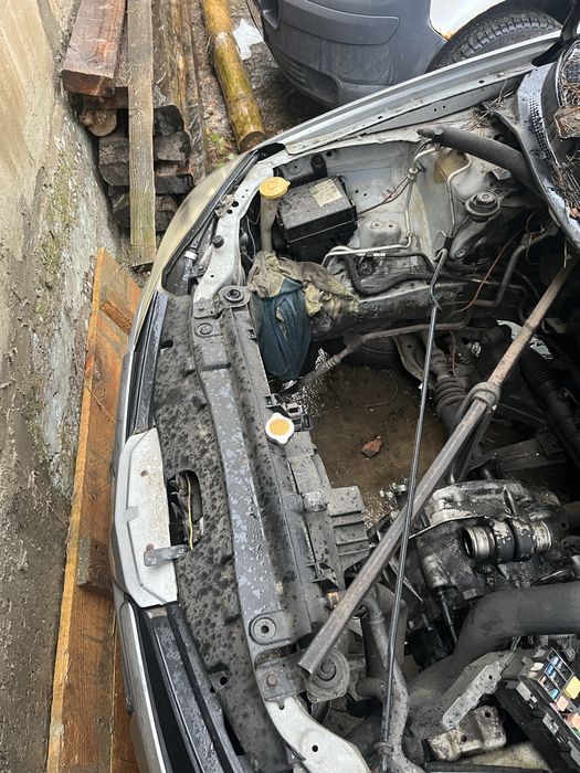 Nissan Primera p12 1.9 дизель