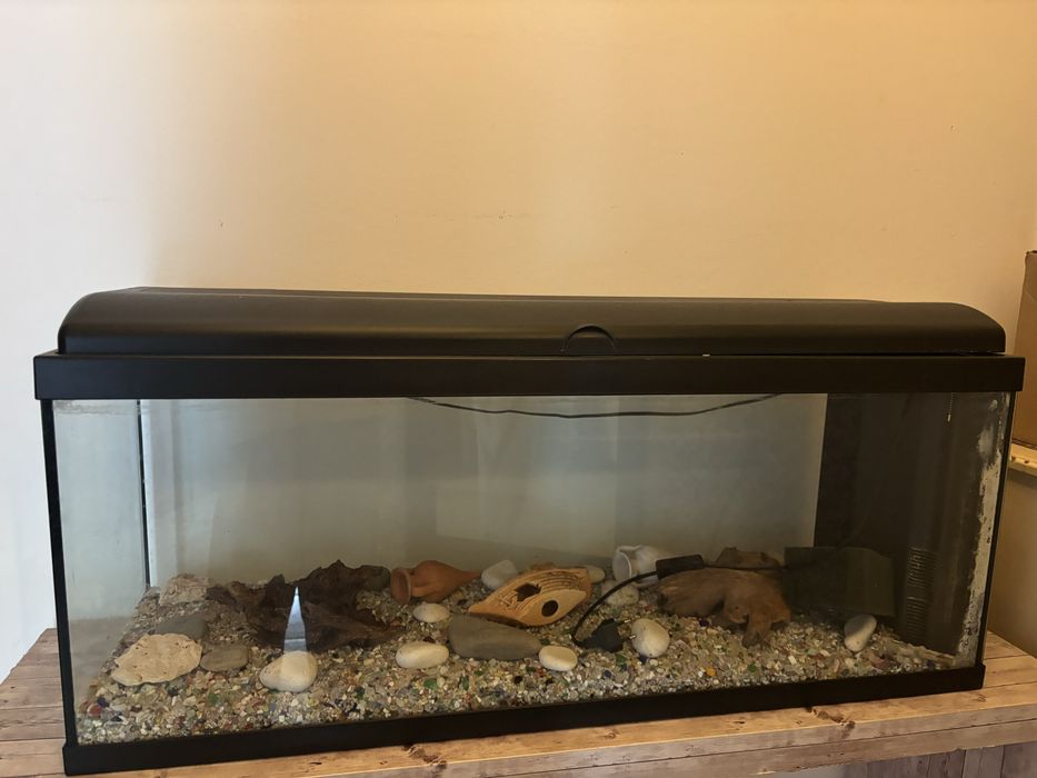 Aquário como novo