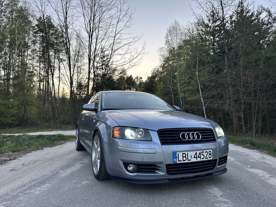 Audi A3 8P 1.9TDI 2004r