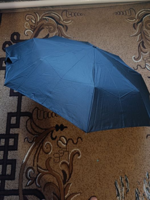 Оригінальна парасолька Skoda