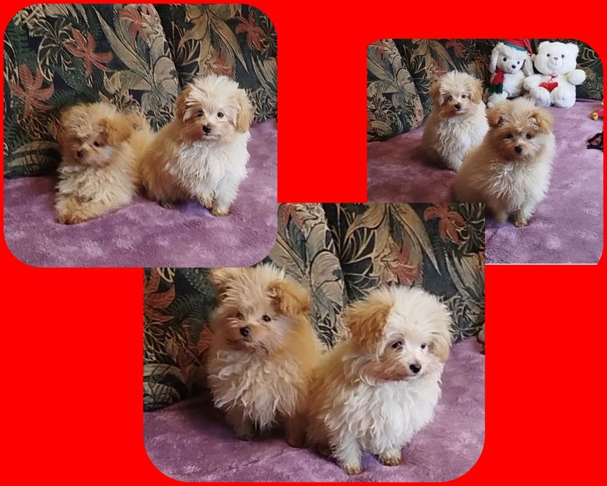 Няшечки ждут именно Вас)