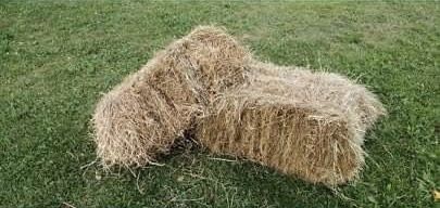 Pachnące kostki i bele siana. Bez dowozu