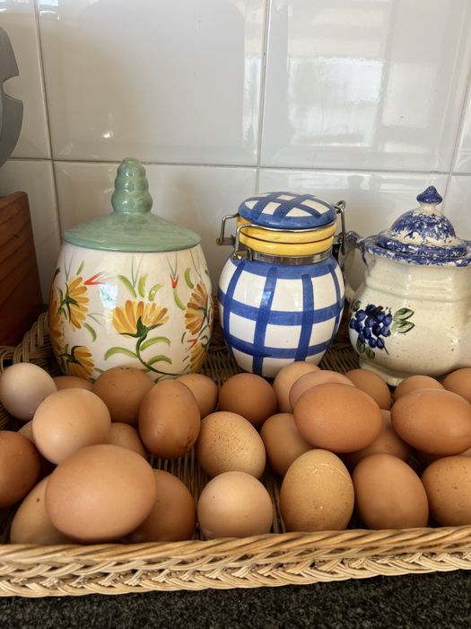 Ovos caseiros - Gafanha da Nazare e Aveiro