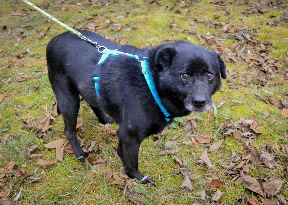 Pożar zabrał mi wszystko