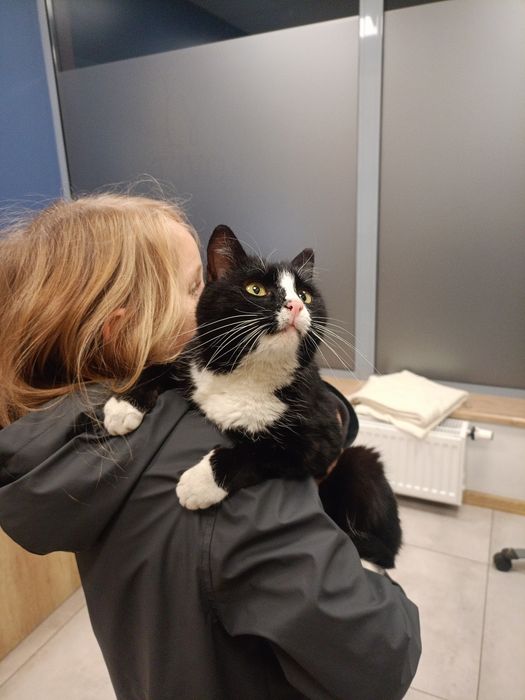 Paczusia - roczna kotka do adopcji !