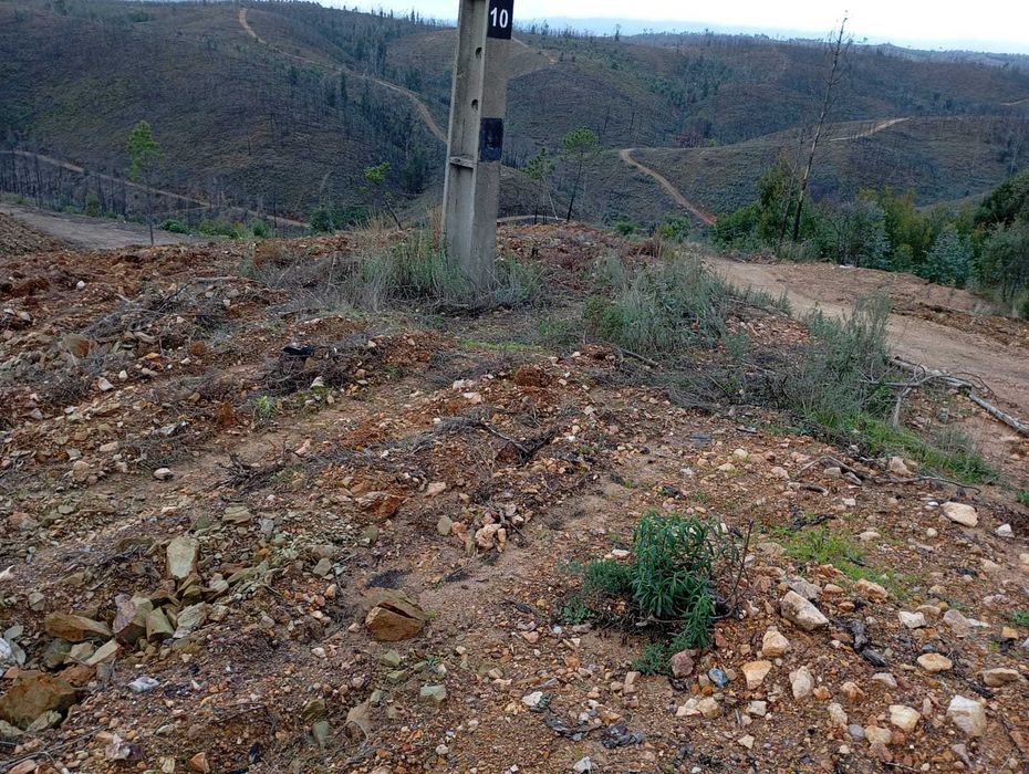 Dois Terrenos à Venda em Rabacinas – 2180m² (c/ Furo) + 5120m²