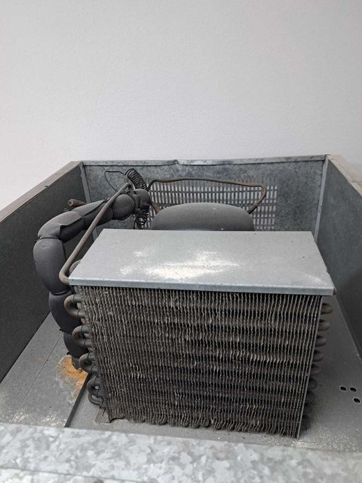 Arca de frio positivo para massas frescas