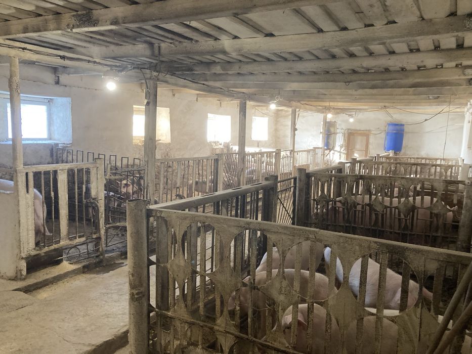 Бізнес ферма працююча