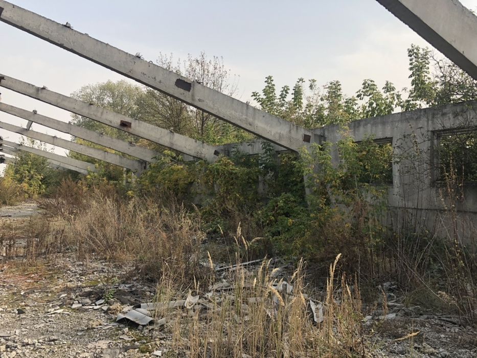 Клюшечник, зерносклад, ангар.