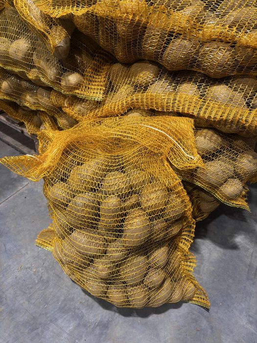 Ziemniaki Soraya 0.90zł/kg