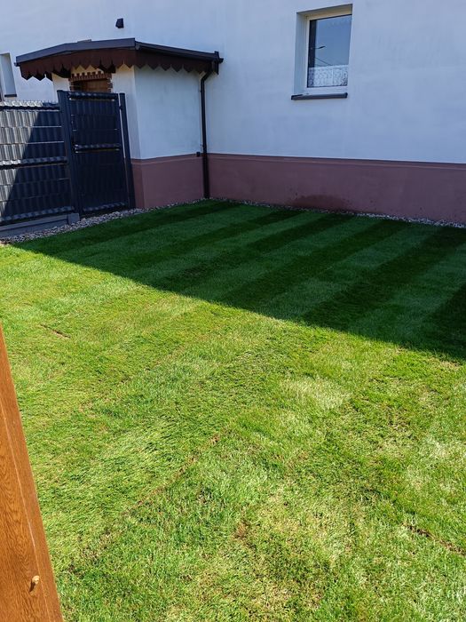 Zakładanie Trawników, Prace Ogrodnicze, niwelacja terenu