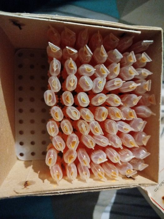 Ампулы для аптечек Аи2