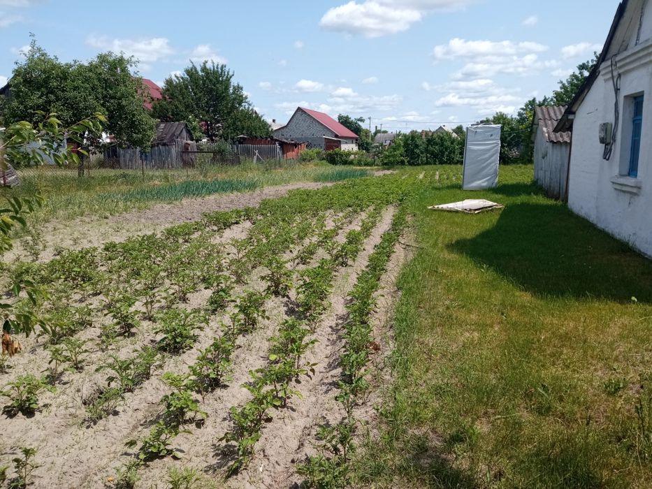 Продам  будинок,