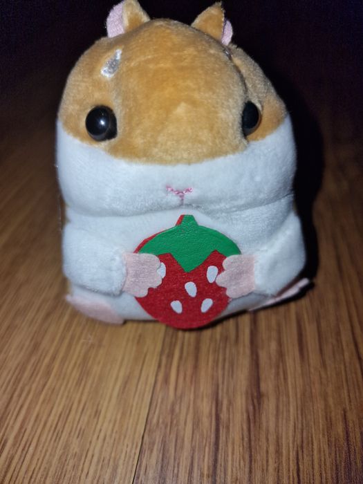 Śliczny bryloczek chomik